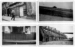 Small pictures 11.jpg